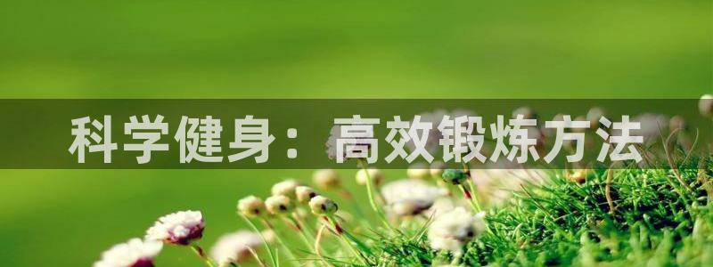 龙八国际娱乐官方网站