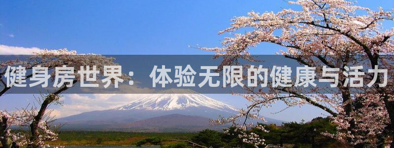 龙8国际app下载官网手机版最新版