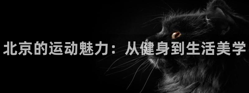 龙8国际手机官网下载安装