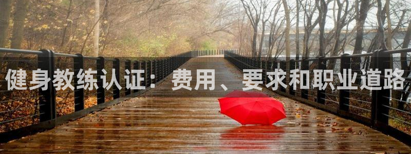 龙8国际游戏官网