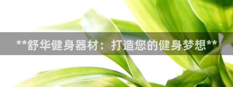 龙8官网游戏
