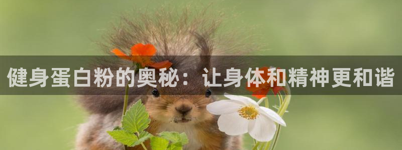 龙8国际网址多少