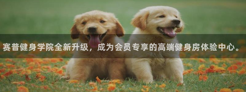 龙8国际官网版最新版下载