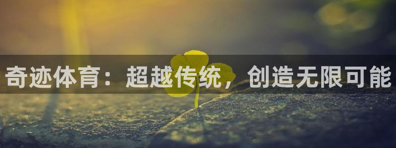 龙八国际唯一官网