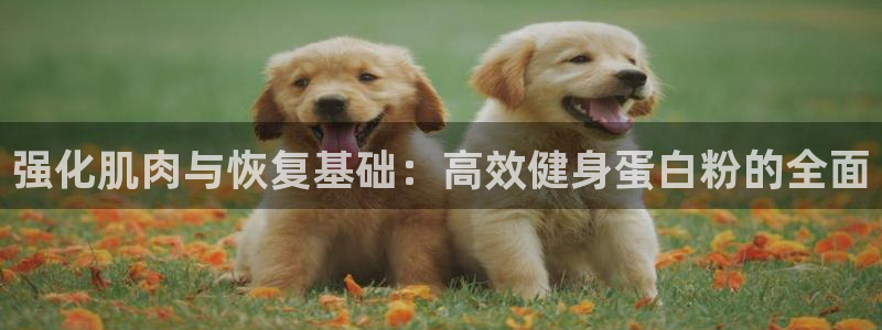 龙8老虎机游戏网站多少