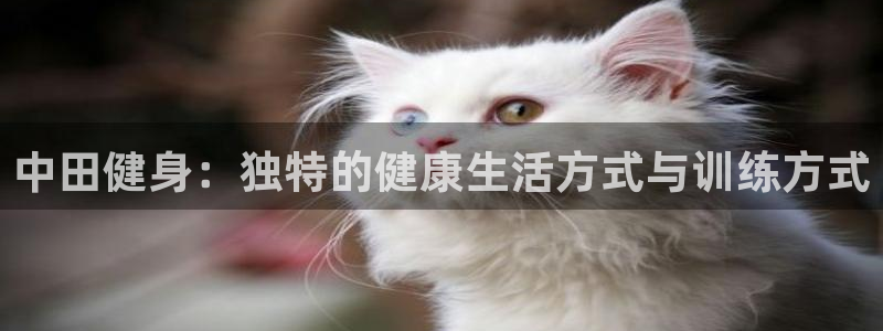 龙8国际老虎机官网