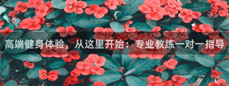 龙8国际被侦破了吗