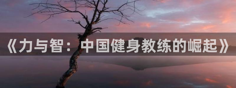 龙8国际官网官方版fxzls天地手游 -kc -安卓